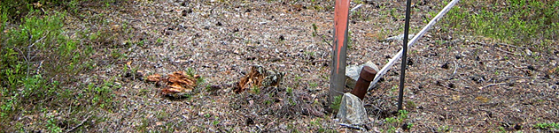 Borrhål Borrhål
